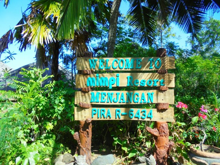 外観はこれだけだったので、とても分かりにくかったです。