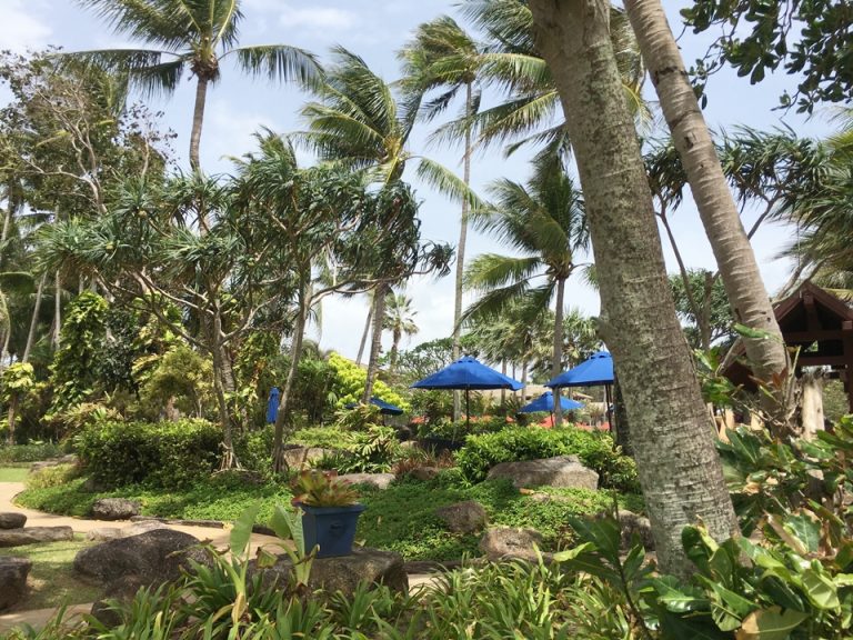 その他_ホテル内庭