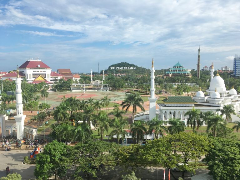 客室からの眺め