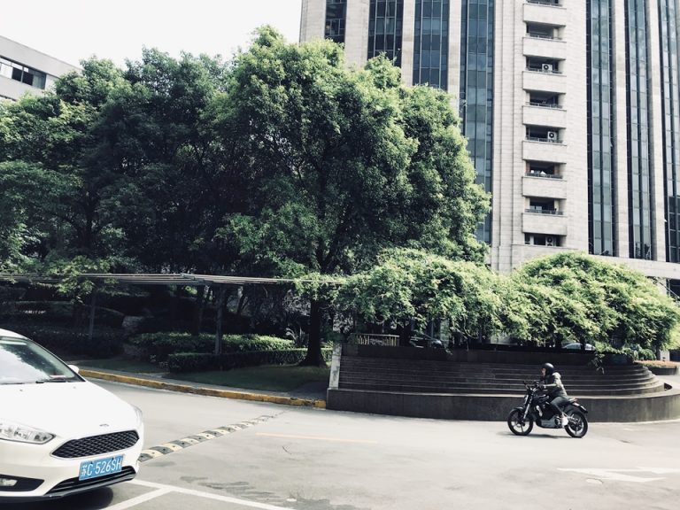 入り口正面ロータリー6