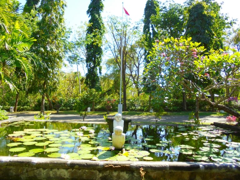 フロントの後ろには蓮の池