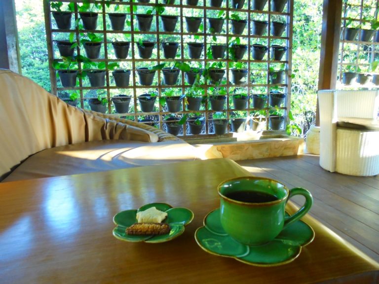 施術後に頂くジンジャーティーとジンジャークッキーはナチュラルなお味で美味しかったです