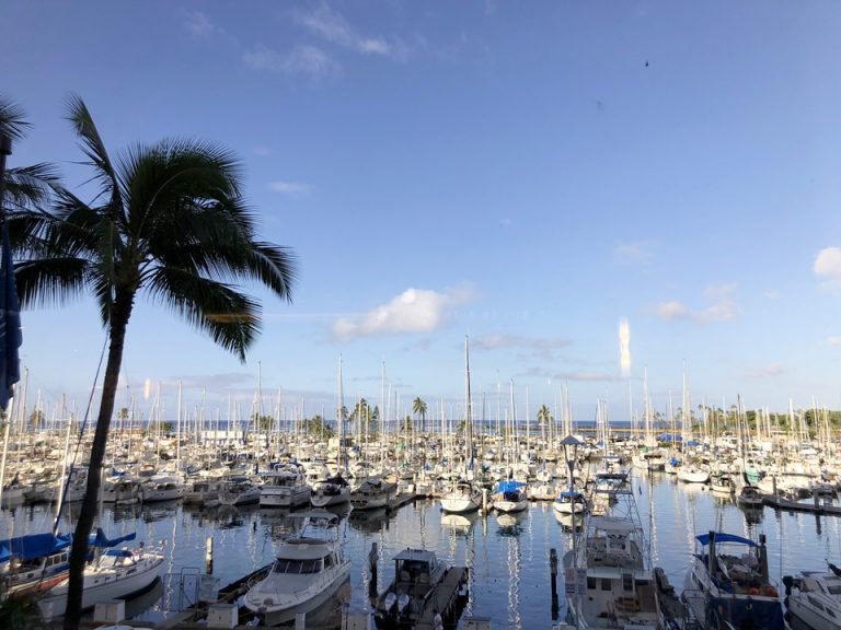 レストランからの景色。名前通りハーバーに止まっているヨットの帆がたくさん見れます