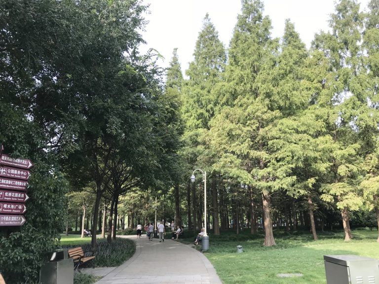 新虹橋中心公園はお散歩にもランにも良いスペースです