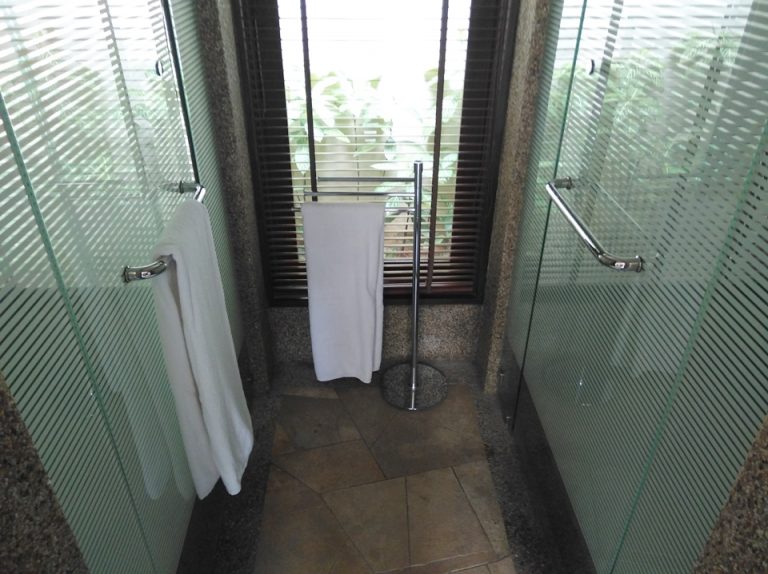 バスルームシャワー入り口左トイレ入り口右