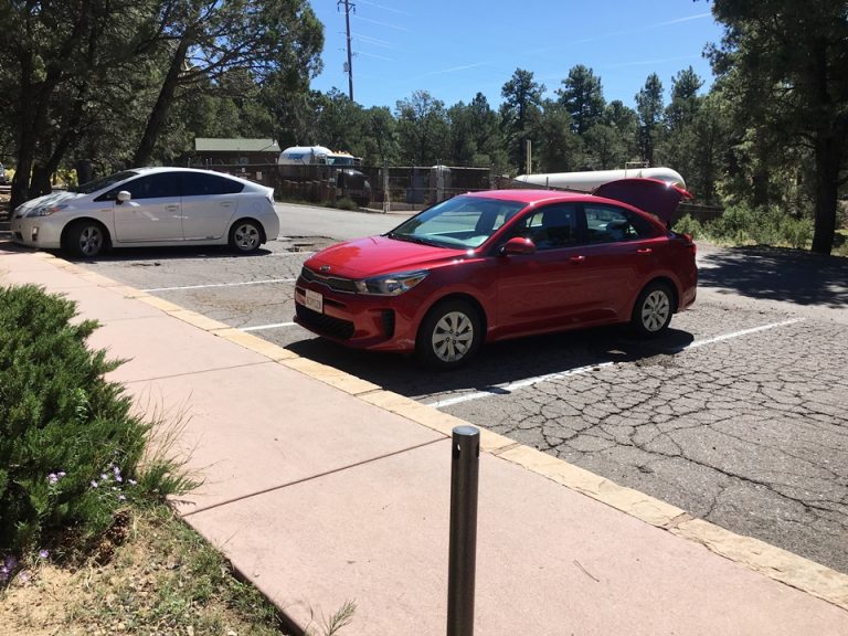 フロント施設から宿泊施設までの道(外)