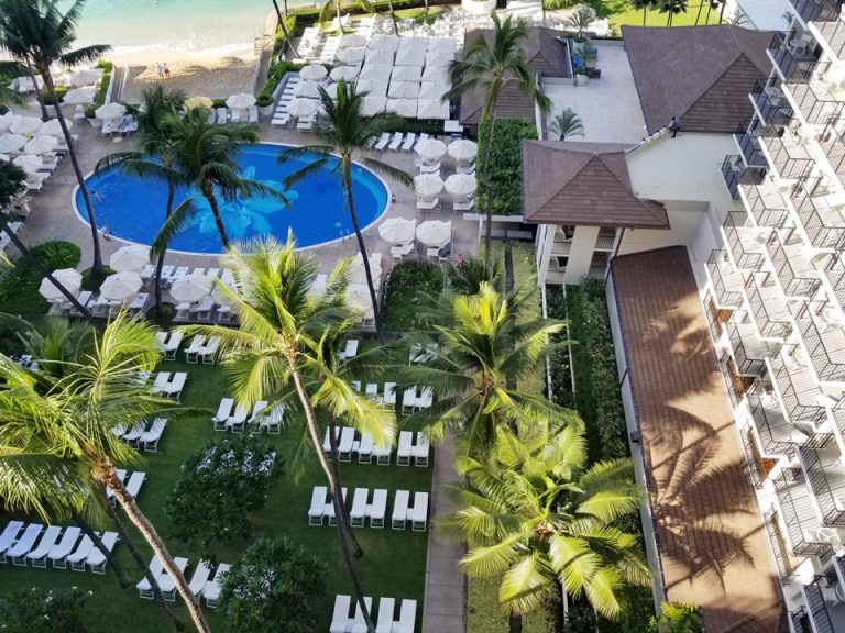 上から見るとプールの床に花の模様が