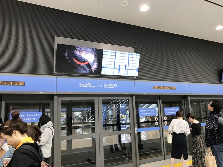 電車で移動