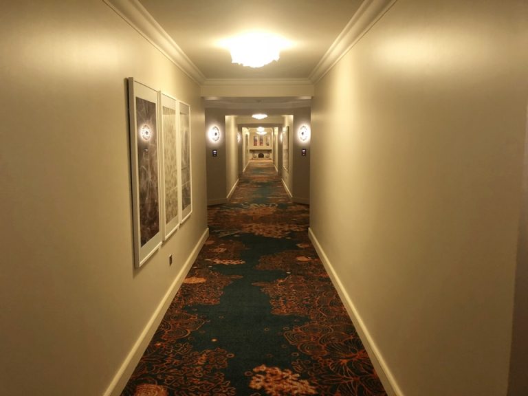 客室入口付近廊下②