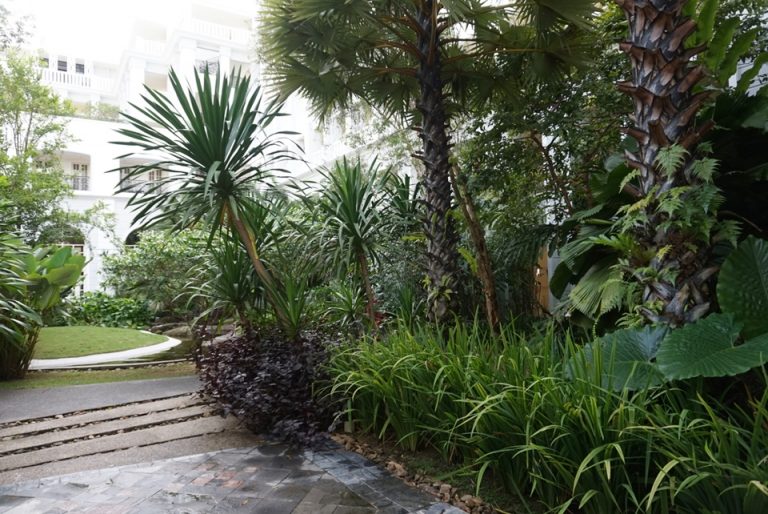 1階の中庭。緑が多くて楽しいです。意外に蚊や虫がいない