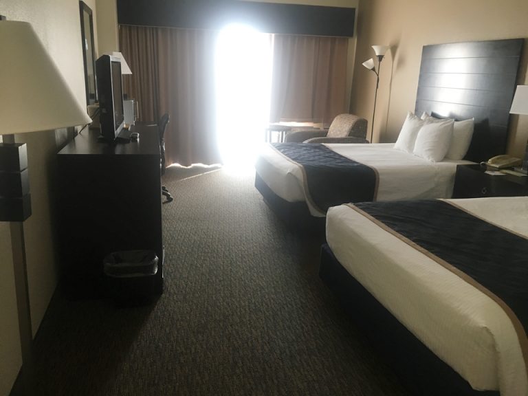 客室全体(窓際方向)