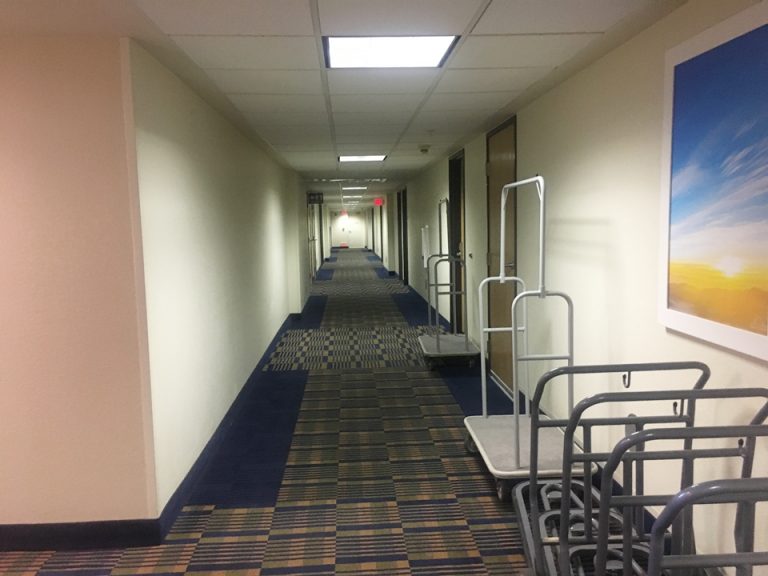 客室入口付近廊下