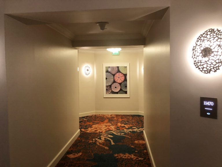 客室入口付近廊下