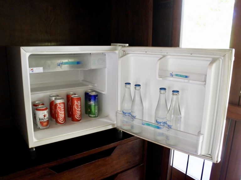 冷蔵庫(開けた状態)