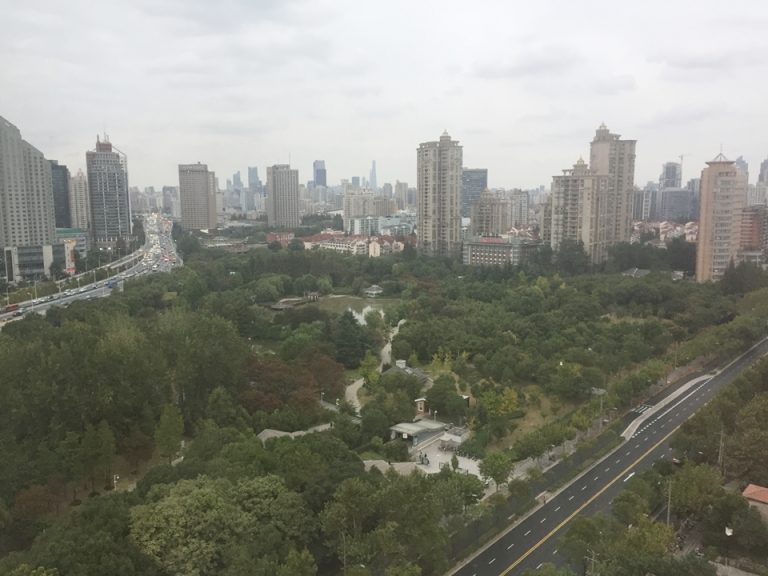 部屋からの眺望5公園側