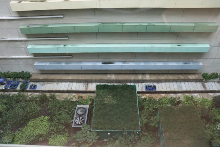 部屋から見える中庭