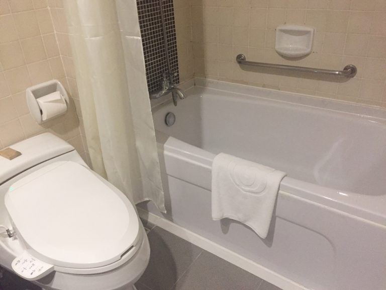 バスルーム入り口から全景1