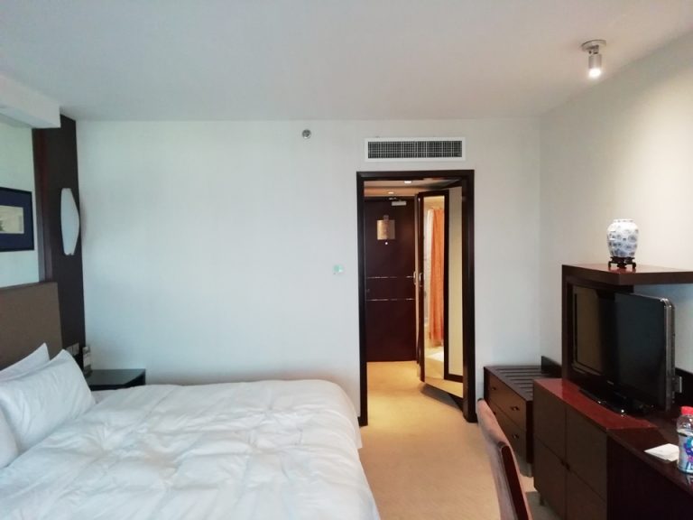 窓側から客室を撮影