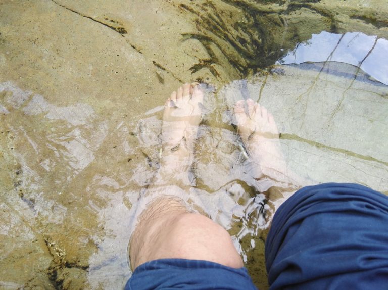 ドクターフィッシュの池2