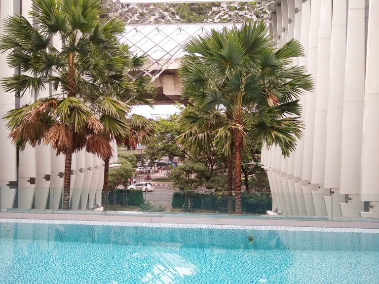 プールからの眺め