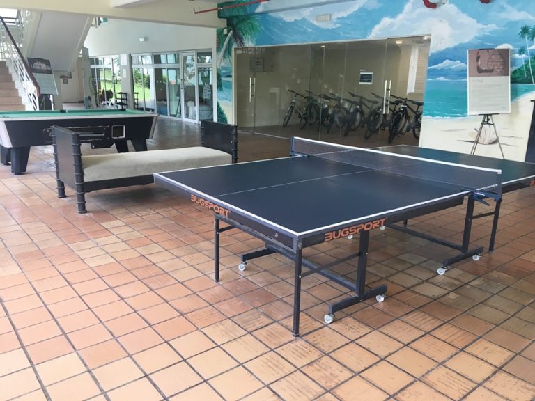 卓球もビリヤードもできる