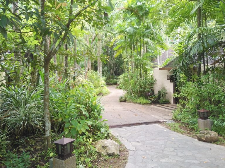 ヴィラに通じる道4