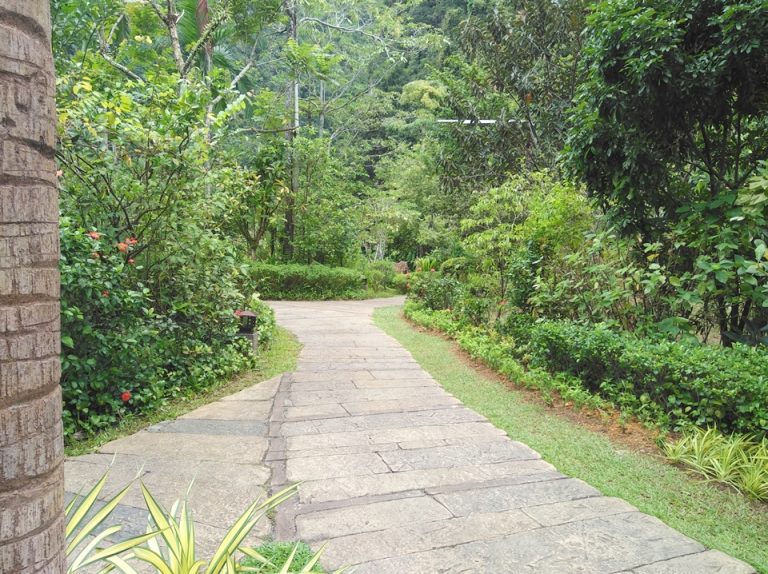 ヴィラに通じる道1