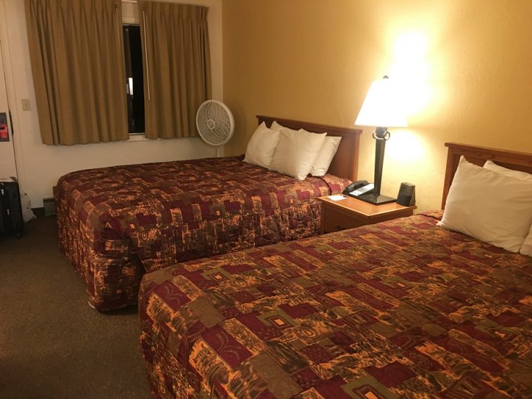 客室全体(入口方向)