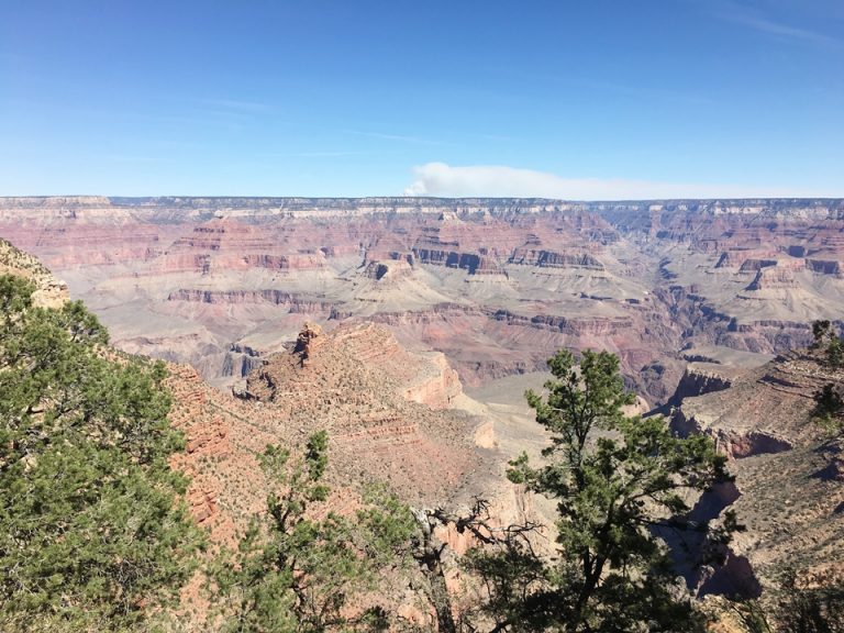 ブライトエンジェルからの羨望