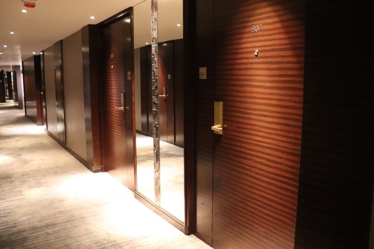 客室入口前廊下