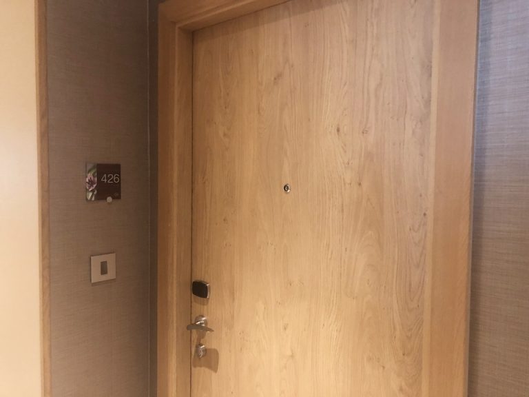 客室入口外貨ドア