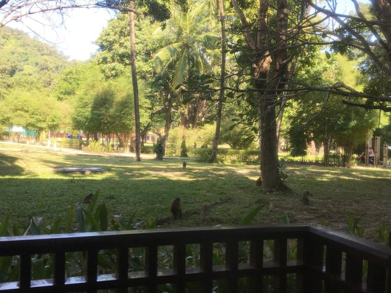 ガーデンビュー