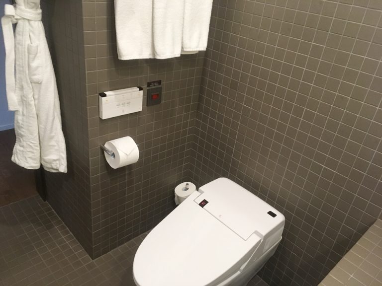 バスタブ側から見た入り口側、トイレ。