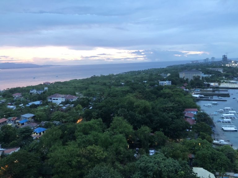 客室からの眺望