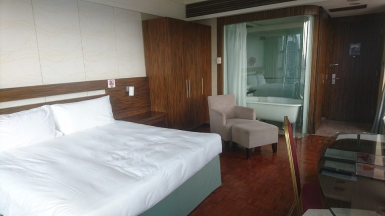 客室全景【窓方向から】