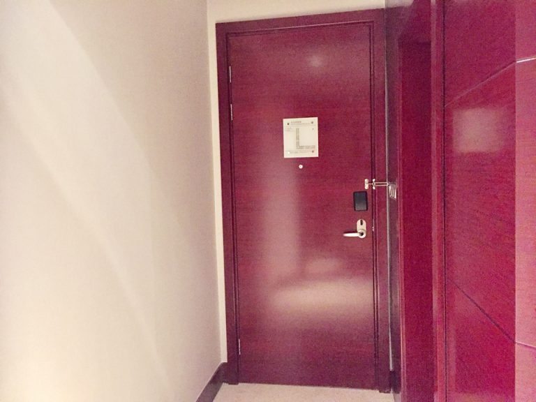 客室入口内側ドア