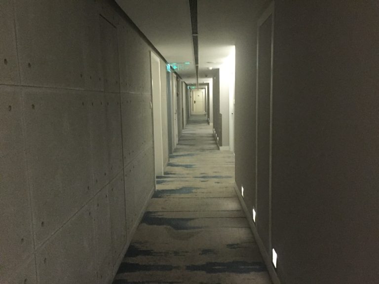 客室階廊下全体1 壁はコンクリート