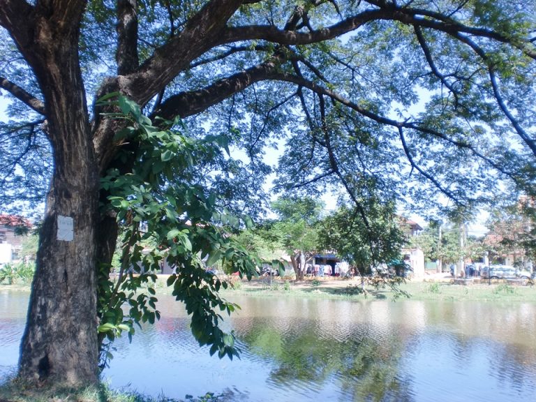 シェムリアップ川