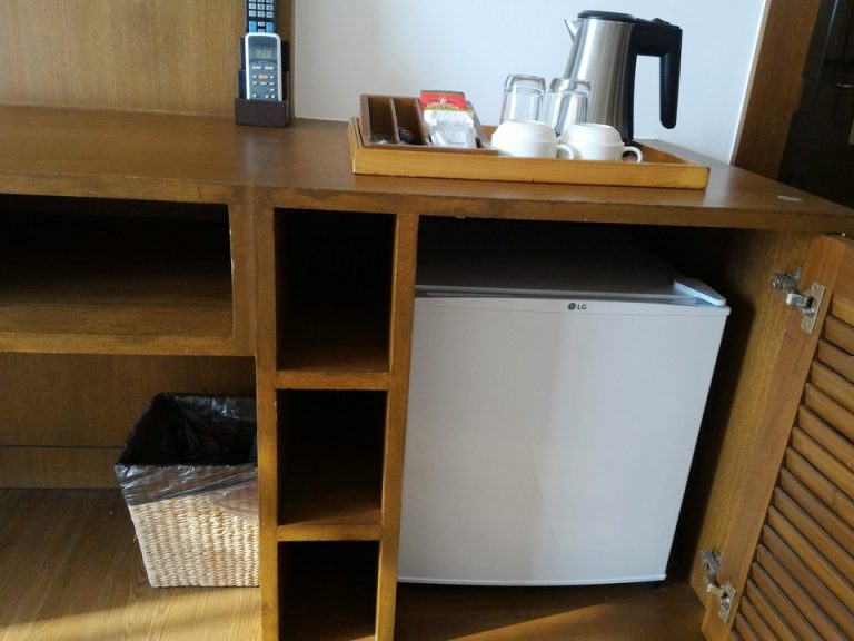 P_20181101_154422冷蔵庫(閉じた状態)