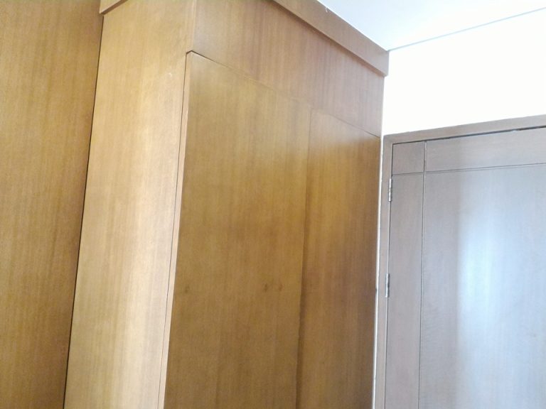 P_20181101_154612クローゼット外観(閉じた状態)