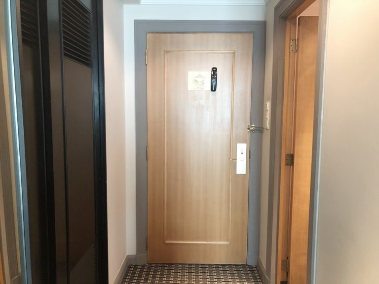 客室入り口内観ドア