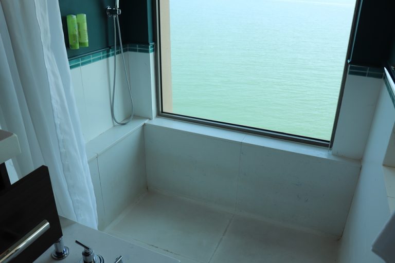 シャワー_バスタブ