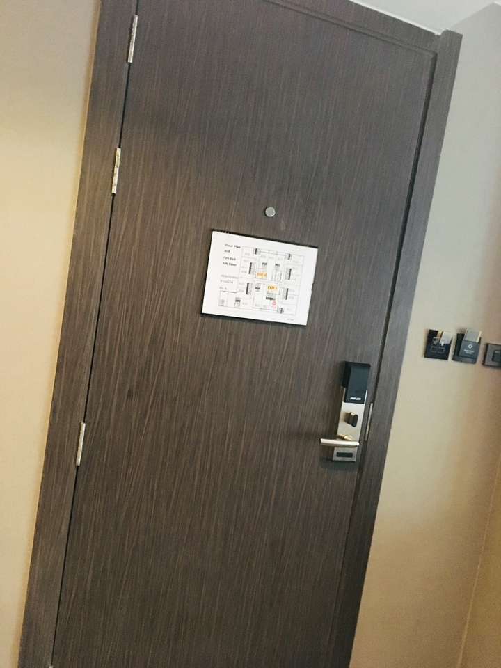 客室入口内観ドア