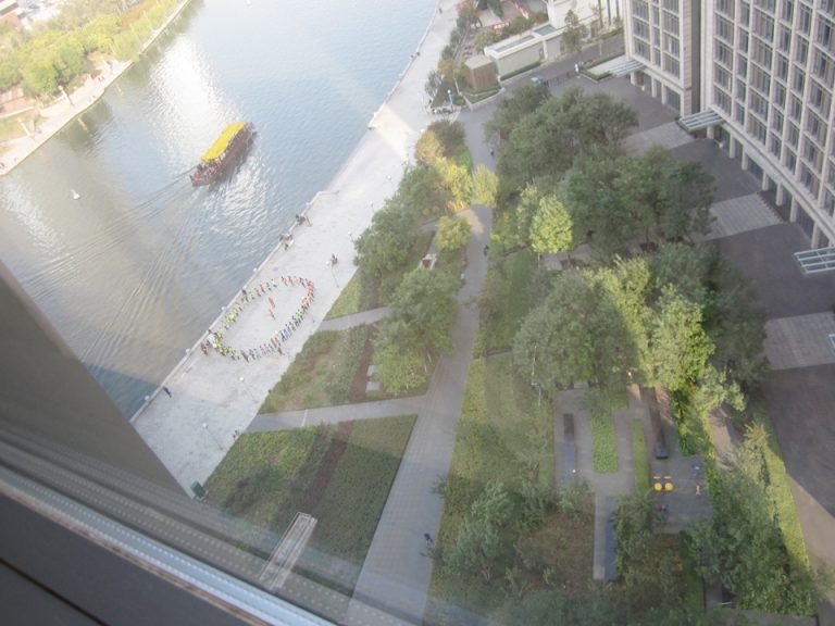 河岸でダンス中(?)