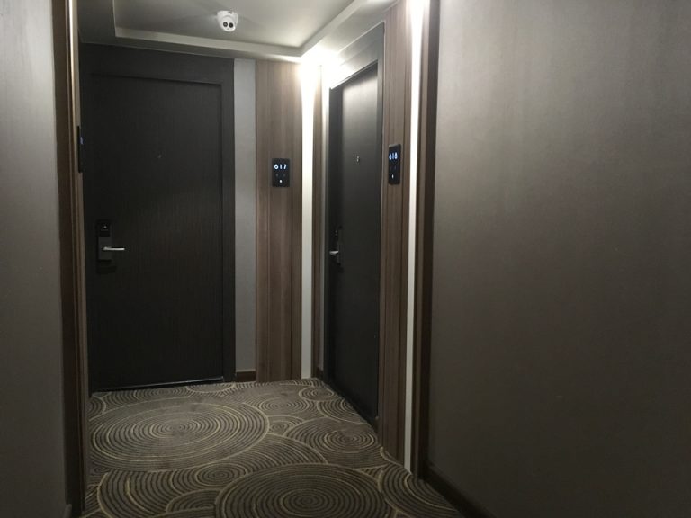 客室入口付近廊下