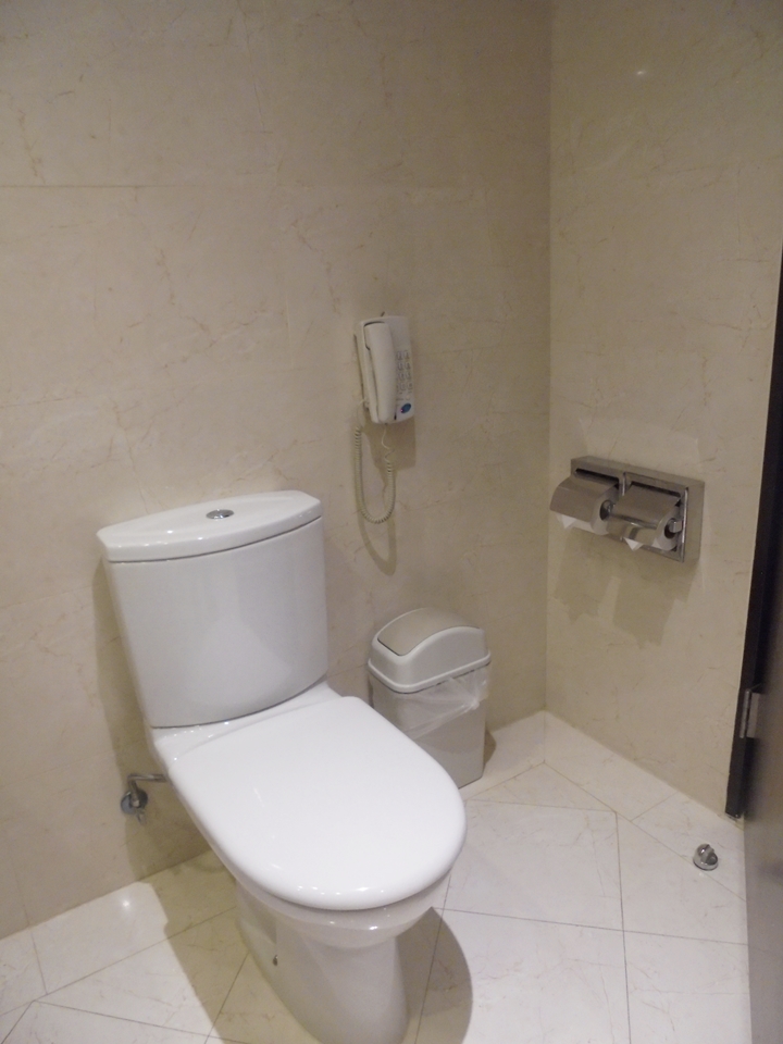 お手洗い。ペーパーはごみ箱に捨てるタイプです