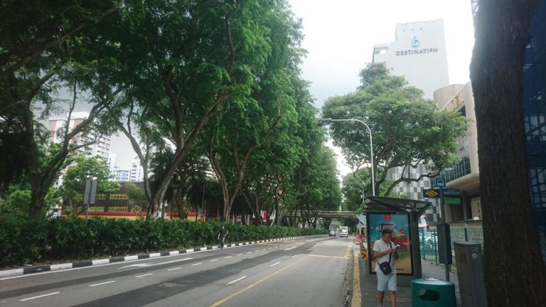 建物全体(下層階は街路樹で覆われています)