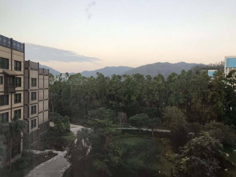 部屋からの眺望 ガーデンサイドでした