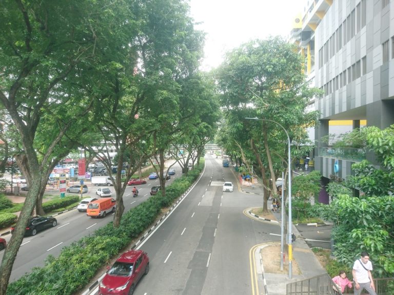 ホテル周辺の雰囲気(ホテル前の歩道橋から)