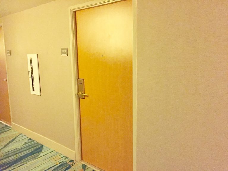 客室入口外観ドア